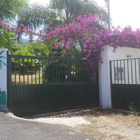 איקוד דה לוס וינוס Finca Las Palmeras מראה חיצוני תמונה