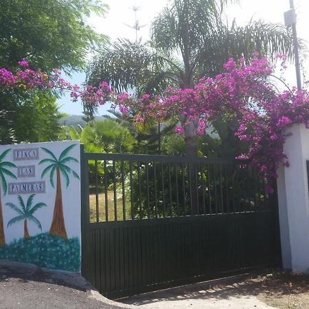 איקוד דה לוס וינוס Finca Las Palmeras מראה חיצוני תמונה