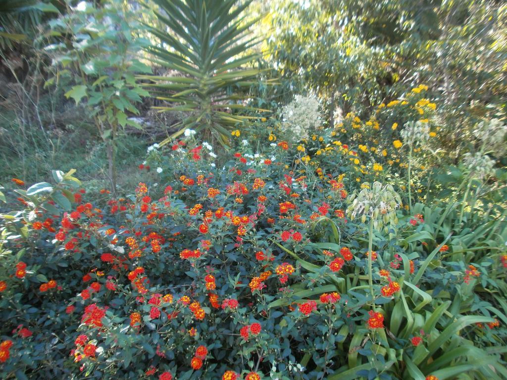 איקוד דה לוס וינוס Finca Las Palmeras חדר תמונה