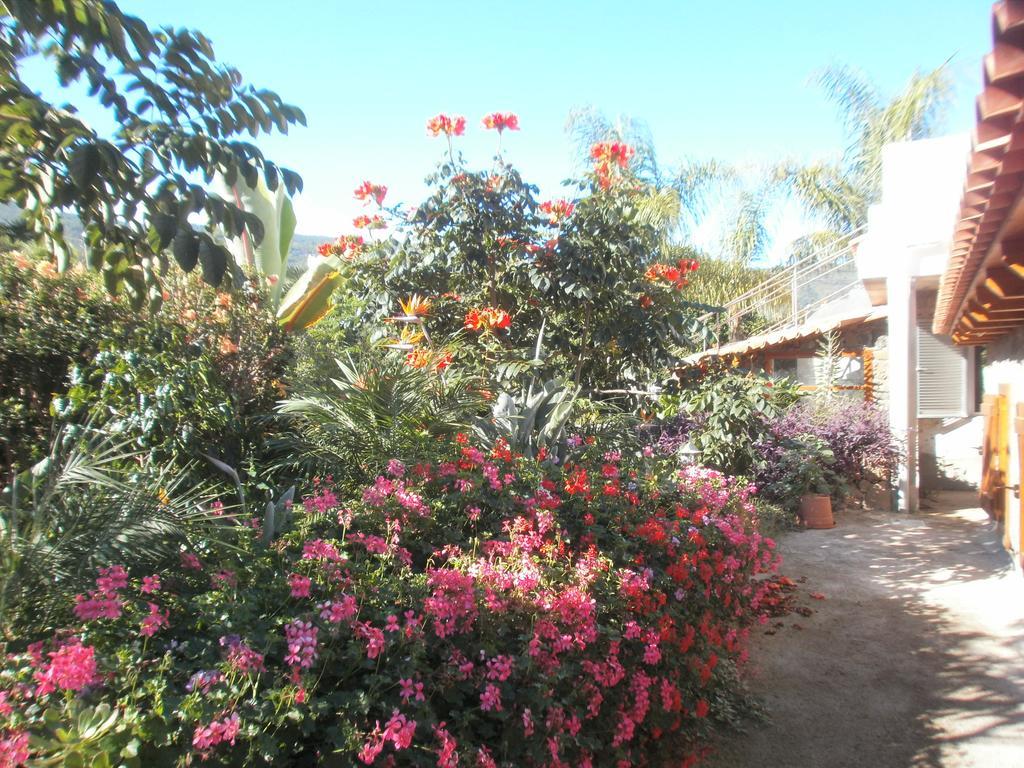 איקוד דה לוס וינוס Finca Las Palmeras חדר תמונה