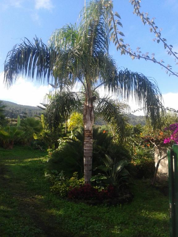 איקוד דה לוס וינוס Finca Las Palmeras חדר תמונה
