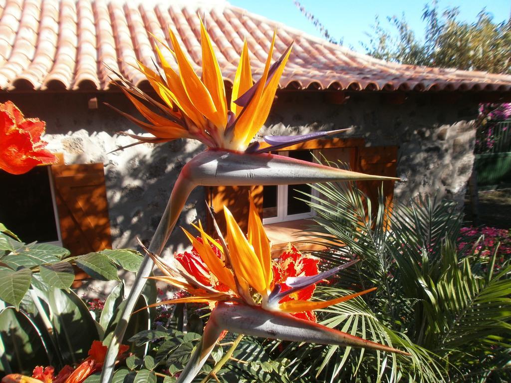 איקוד דה לוס וינוס Finca Las Palmeras מראה חיצוני תמונה