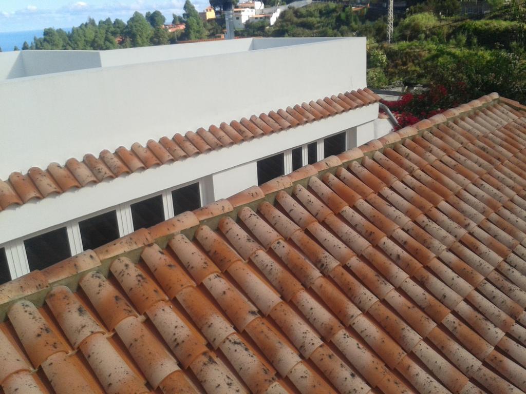 איקוד דה לוס וינוס Finca Las Palmeras חדר תמונה