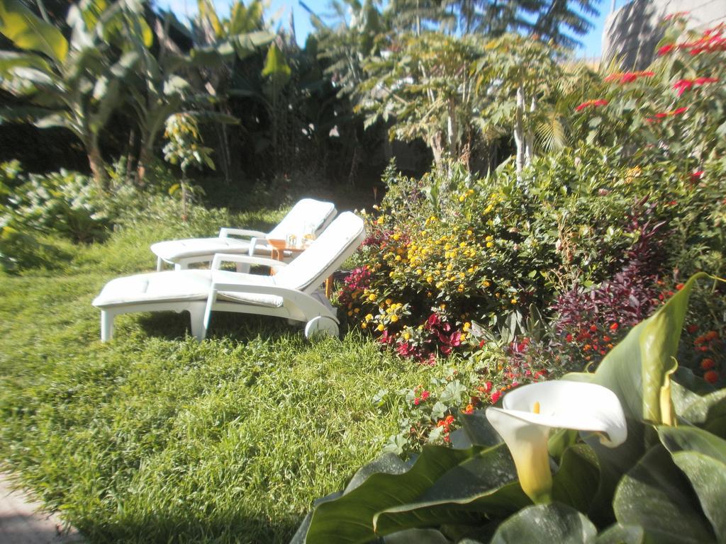 איקוד דה לוס וינוס Finca Las Palmeras חדר תמונה