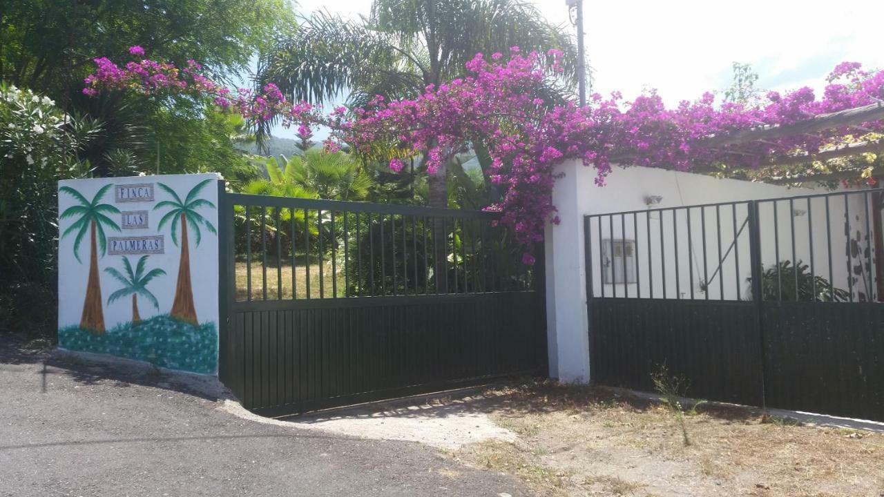 איקוד דה לוס וינוס Finca Las Palmeras מראה חיצוני תמונה