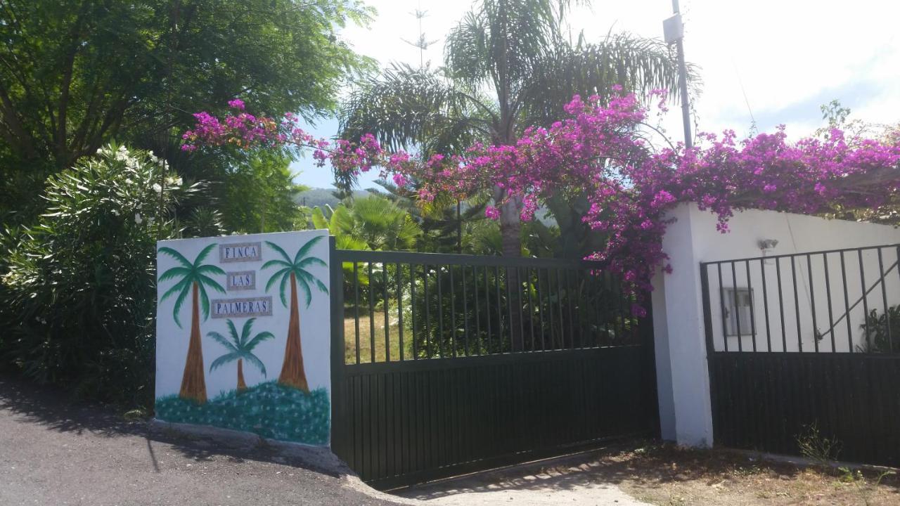 איקוד דה לוס וינוס Finca Las Palmeras מראה חיצוני תמונה